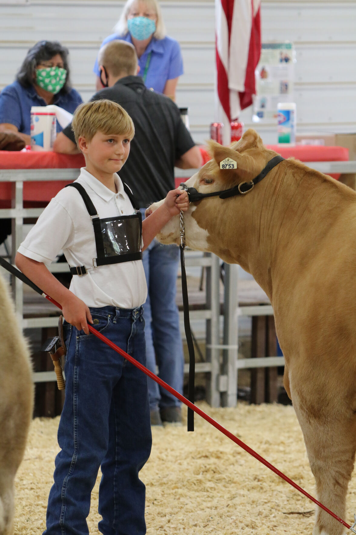 PHOTOS: Market Beef Show 2020